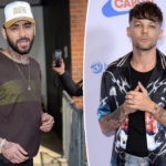 Zayn Malik Punched Louis Tomlinson: Netflix Doc Axed